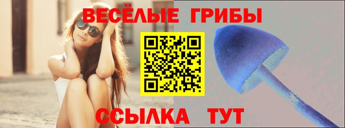 Галлюциногенные грибы Magic Shrooms Благовещенск